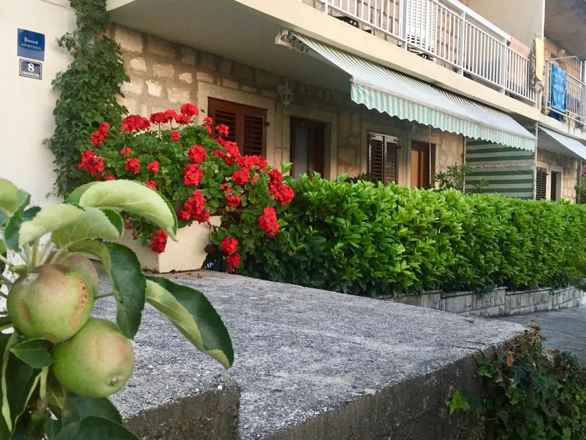 Mila * Cavtat